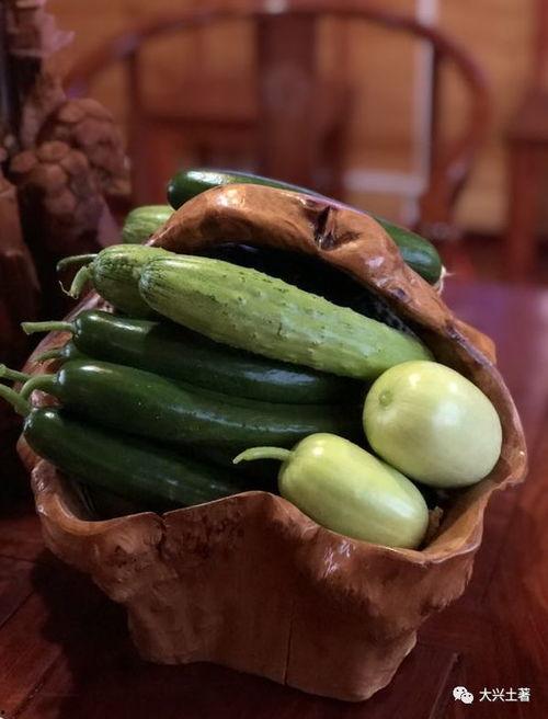 成县的吃瓜网红是谁