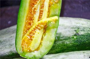 求个网红吃瓜网站,带你领略娱乐圈幕后风云